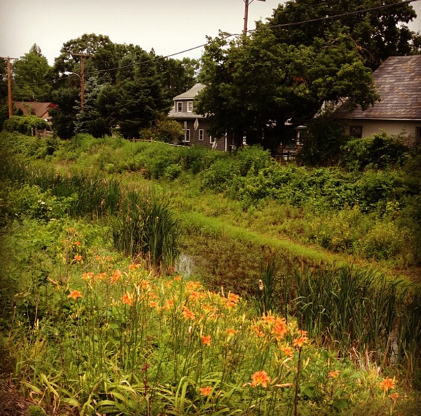 The Delaware Canal in Lambertville