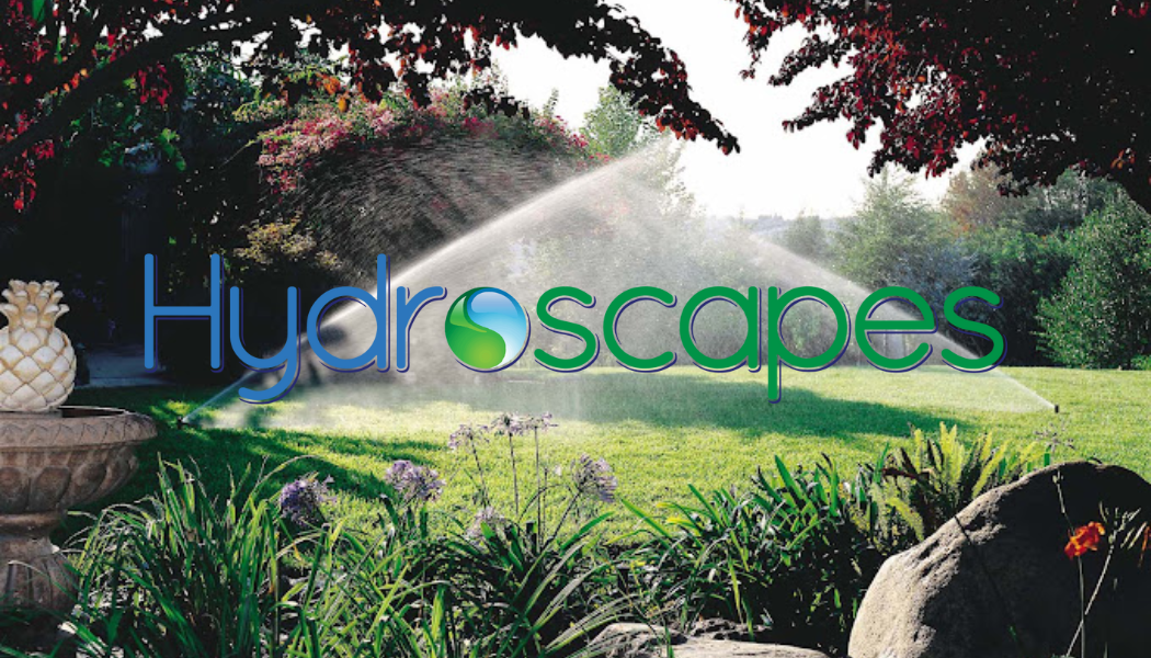 448255149_986105026857471_2619784681279662514_n