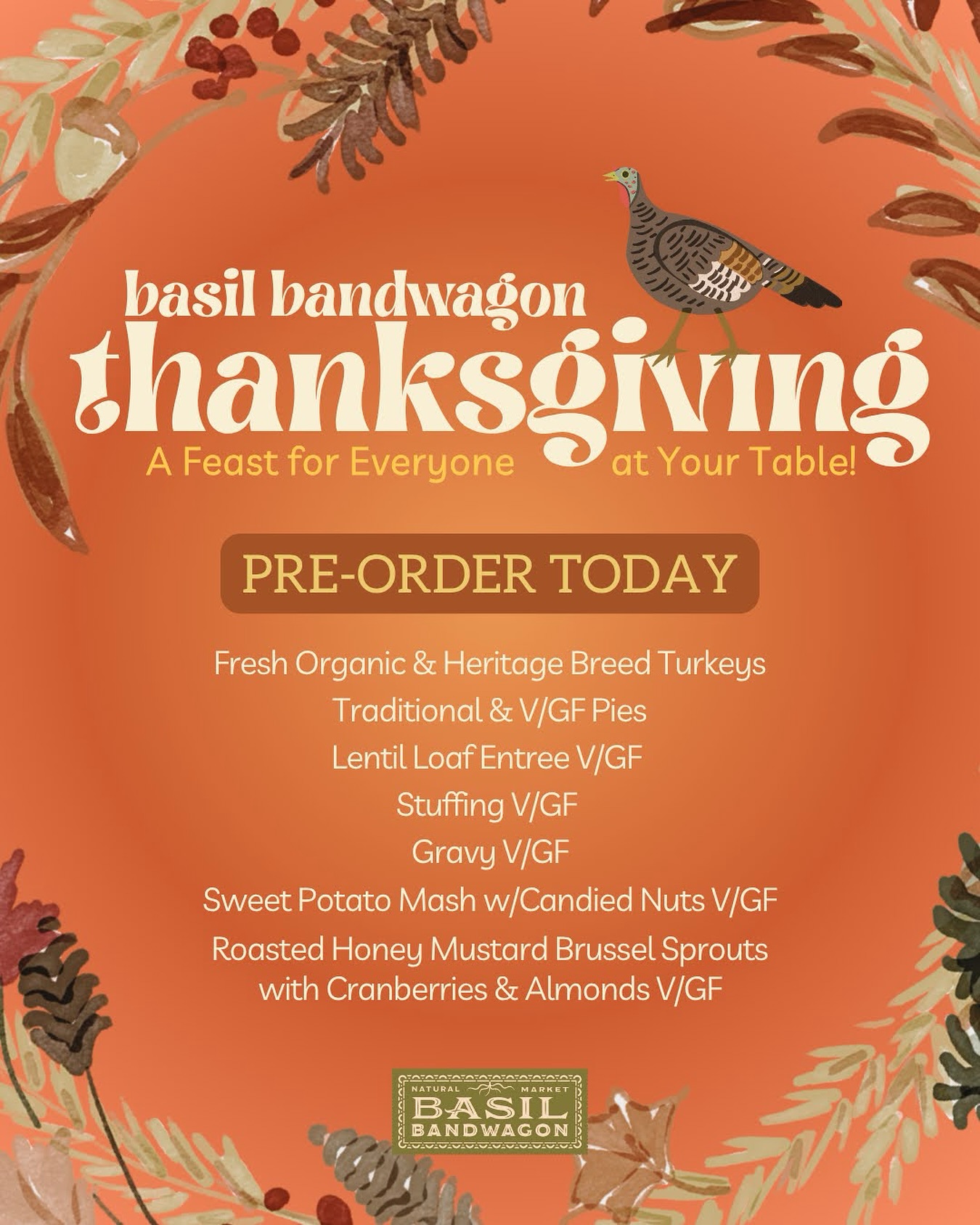 558951720_18528891274005443_1908450010755003487_n