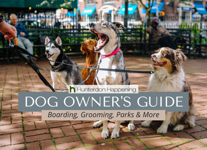 Hunterdon County Dog Owner's Guide Boarding, Grooming, Parks & More