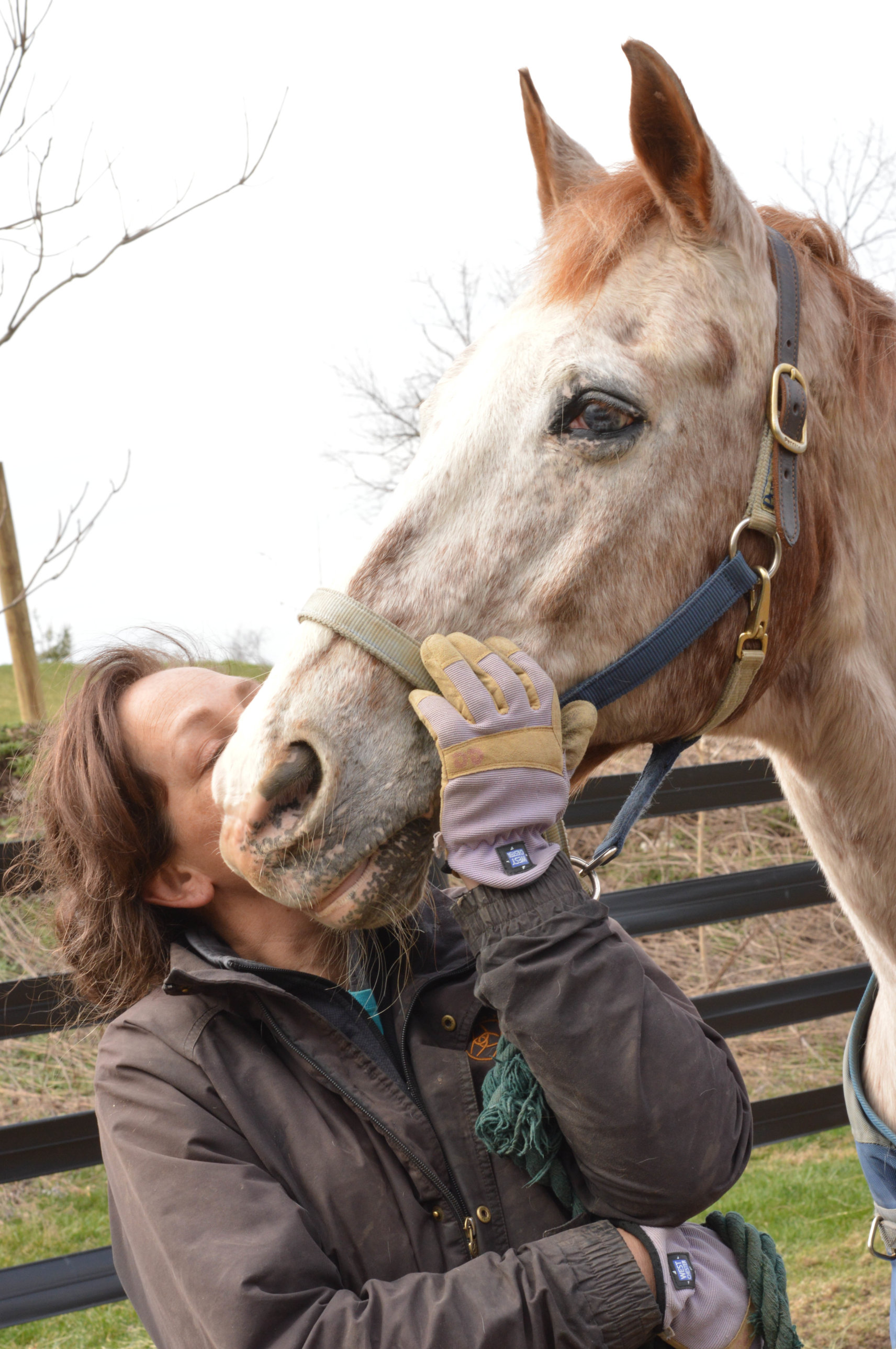 Life-Changing Equine Therapy Brings Hope and Healing to Local Veterans