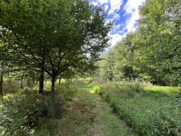 Dvoor Farm at Hunterdon Land Trust