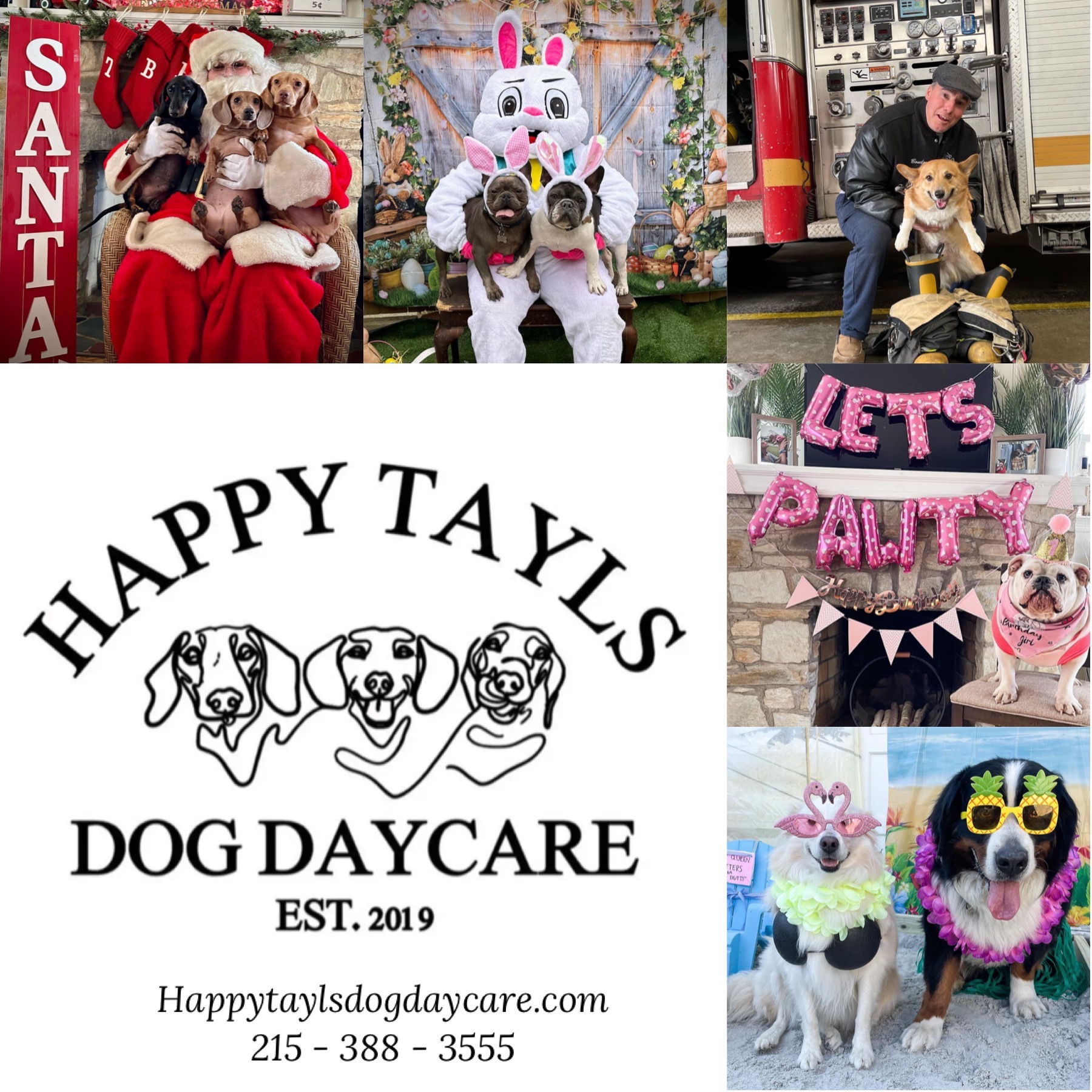 Happy Tayls Dog Daycare