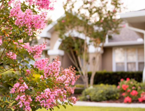 Lighten Up: Simple Ways to Refresh Your Home for Spring