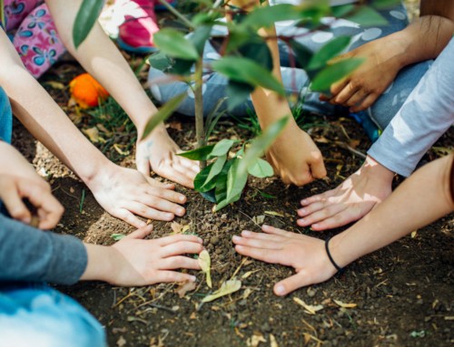 Celebrate Earth Day | Simple Ways to Get Involved in Hunterdon