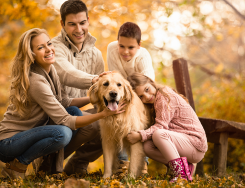 How to Prep For Your Fall Family Photos