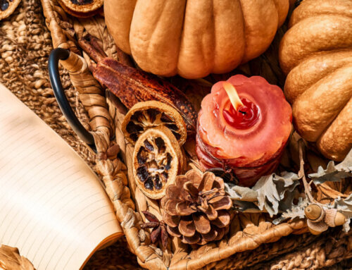 How to Add Cozy, Fall Vibes to Your Home This Season