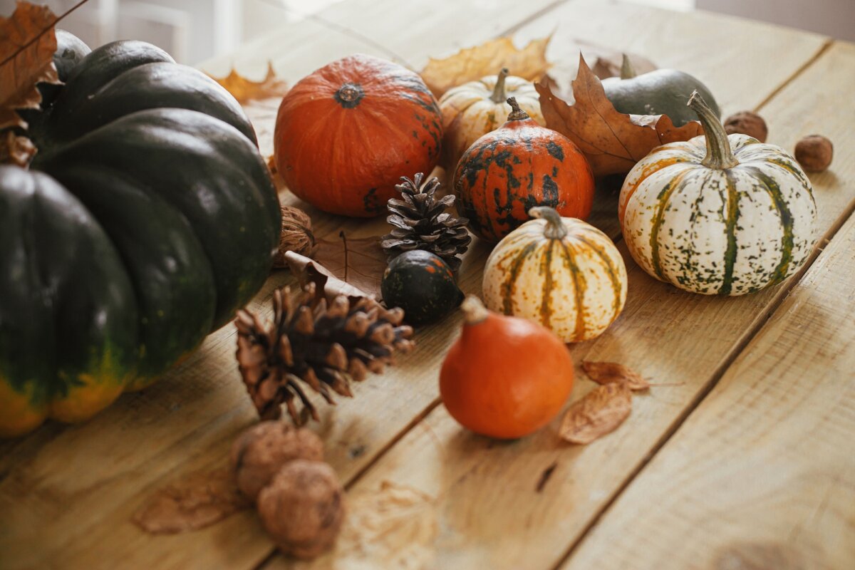 Pumpkins on rustic wooden table in house. Cozy Autumn, fall home decor. Happy Thanksgiving