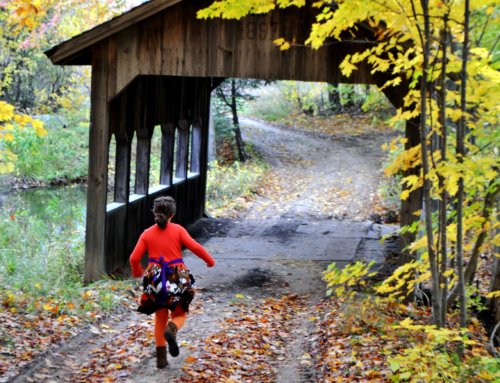 Discover the Covered Bridges of Hunterdon County & More